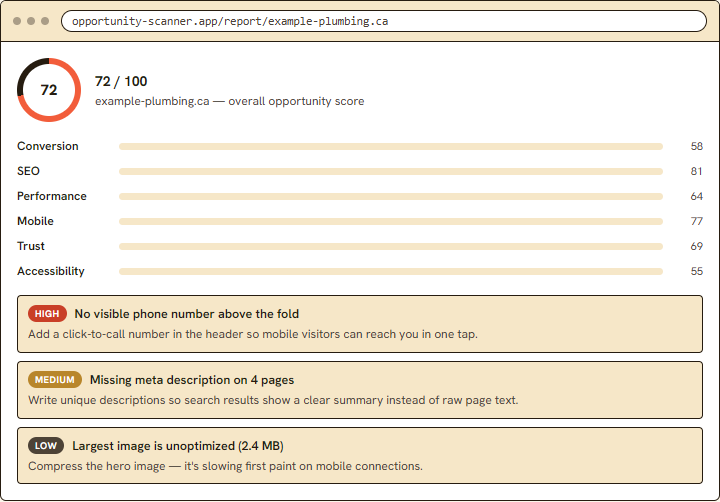 Opportunity Scanner report listing prioritized conversion, SEO, performance, mobile, trust and accessibility findings